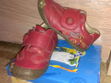 IMAG0410.jpg