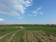20140501_172858.jpg