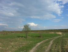 20140501_172902.jpg