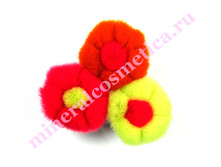 kisti_flower_small23.jpg