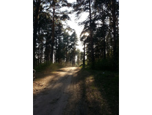 20140501_182430.jpg