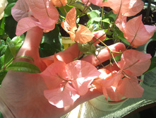 DSC00149.JPG