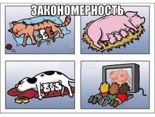 uKurMgxWVpM.jpg