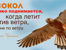 ���.0490.png