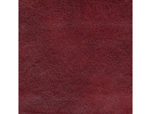 Indi cherry.jpg