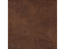 Indi chocolate.jpg