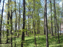 IM20140502154634.JPG