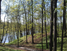 IM20140502154646.JPG