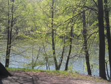 IM20140502154742.JPG