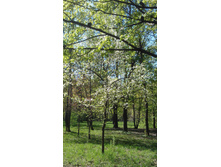 IM20140502161420.JPG