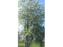 IM20140502162002.JPG