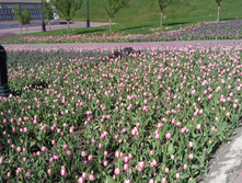 IM20140502162504.JPG