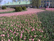 IM20140502162634.JPG