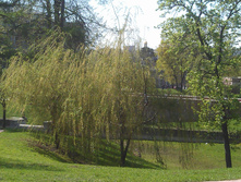 IM20140502162718.JPG