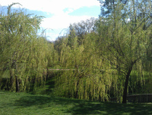 IM20140502162824.JPG