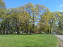 IM20140502163408.JPG