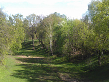 IM20140502164220.JPG