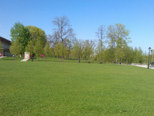 IM20140502165248.JPG