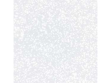 300215-0225.jpg