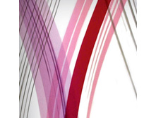 300287-4082.jpg