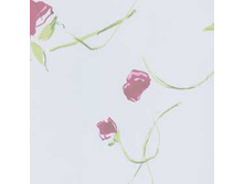 300302-4454.jpg