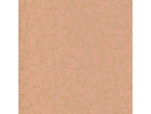 300331-2746.jpg