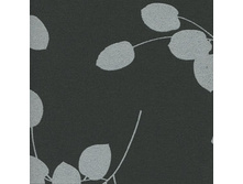 300332-1908.jpg