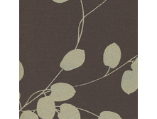 300332-2871.jpg