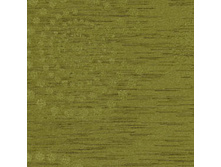orbota 300336-5586.jpg