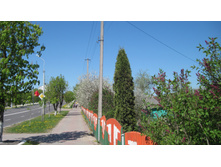 IMG_7573.JPG
