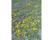 ����0476.jpg