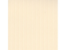 100100-4221.jpg