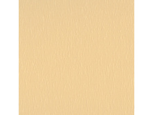 100101-2406.jpg