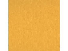 100101-3465.jpg