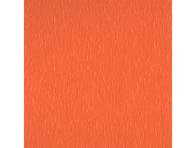100101-4300.jpg
