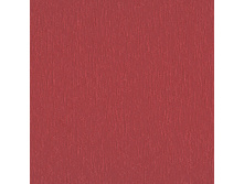 100101-4454.jpg