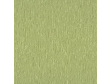 100101-5586.jpg