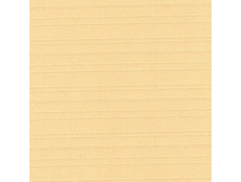 100103-4221.jpg