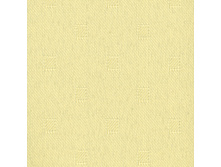 100106-3465.jpg