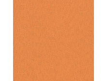 100106-3499.jpg