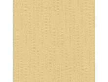 100108-2802.jpg