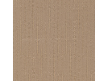 100108-2870.jpg