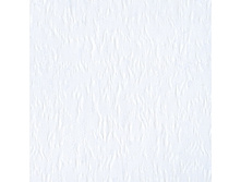 100112-5173.jpg