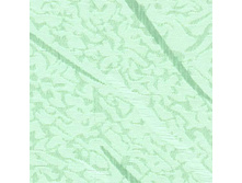 100307-5850.jpg