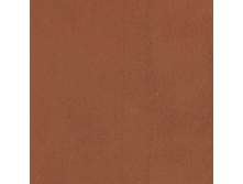 100513-2870.jpg