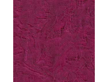 101901-4454.jpg