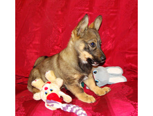 DSC01953.JPG