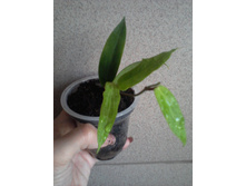 ����-0017.jpg