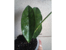 ����-0021.jpg