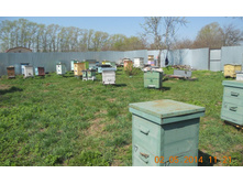 DSCN7857.JPG